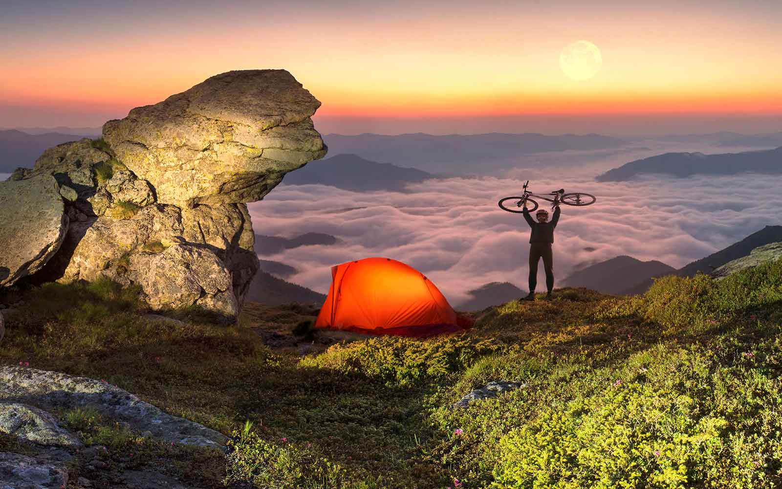 Integrative and Functional Medicine